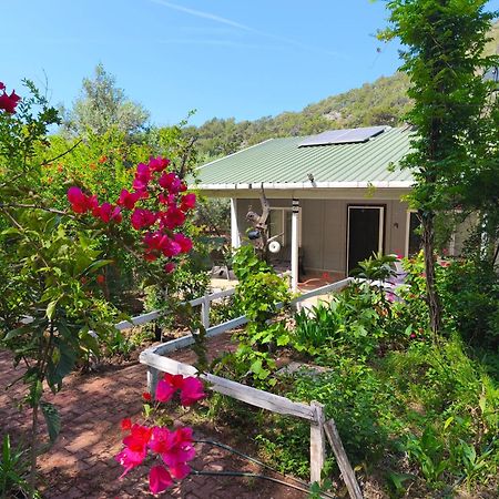 Gelidonia Fenerium Holiday Home アンタルヤ エクステリア 写真
