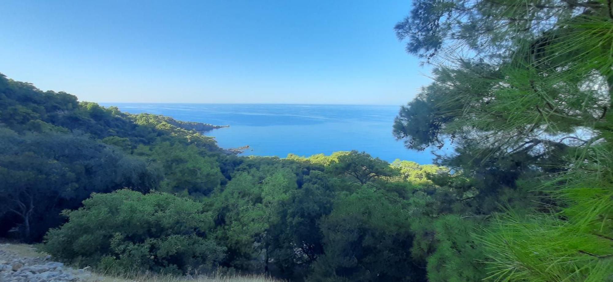 Gelidonia Fenerium Holiday Home アンタルヤ エクステリア 写真